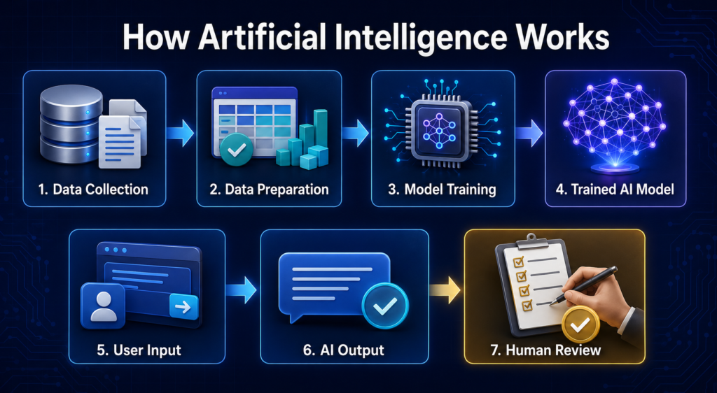 How artificial intelligence works from data collection and model training to AI output and human review